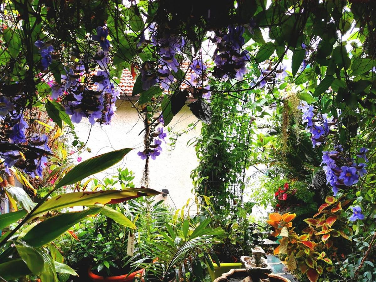 Romantic Casa Lorenzina Affittacamere Ventimiglia Eksteriør bilde