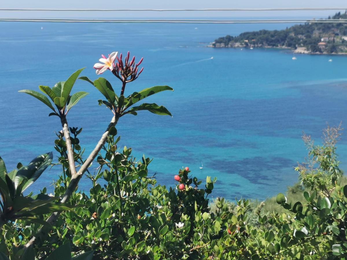 Romantic Casa Lorenzina Affittacamere Ventimiglia Eksteriør bilde