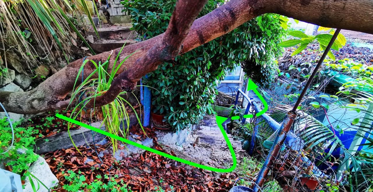 Romantic Casa Lorenzina Affittacamere Ventimiglia Eksteriør bilde