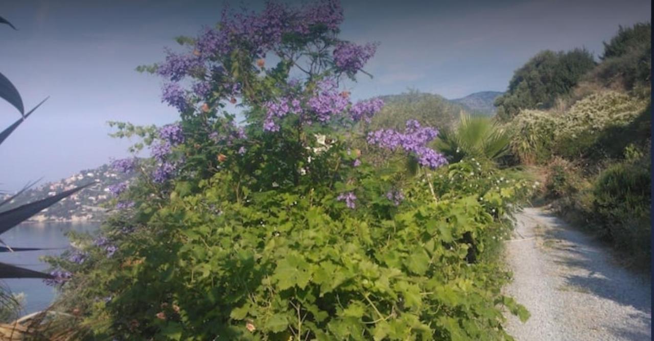 Romantic Casa Lorenzina Affittacamere Ventimiglia Eksteriør bilde