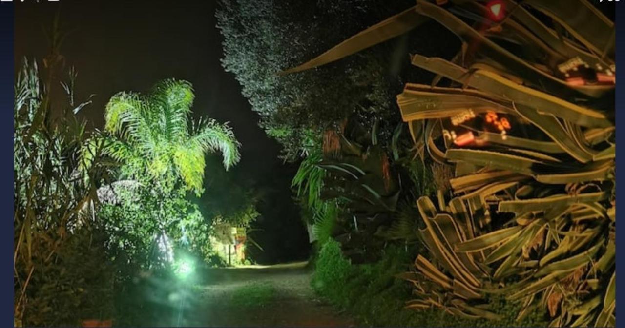 Romantic Casa Lorenzina Affittacamere Ventimiglia Eksteriør bilde