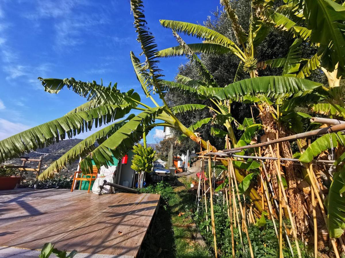 Romantic Casa Lorenzina Affittacamere Ventimiglia Eksteriør bilde